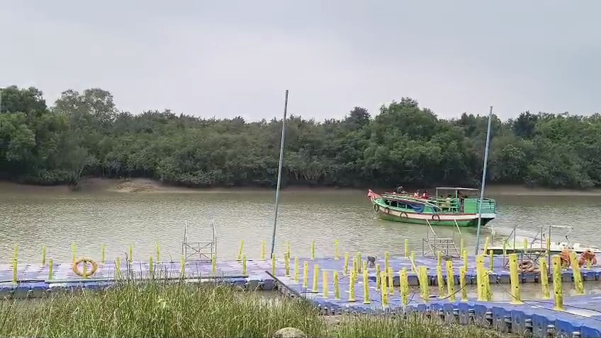 Mangrove Boat Safari - Bhitarkanika Wildlife Video Safari